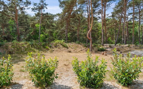 Sjo - 300M from the Sea: Dak, Huis, Land Lot, Huis, Verblijf, Landgoed, Garden Gebouwen, Schaduw, Blokhut, Landscaping