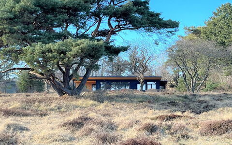 Toska - 100M to the Fjord: Meubilair, Interieur Ontwerp, Flooring, Hout, Verdieping, Plafond, Houten Vloer, Stoel, Tafel, Verlichting