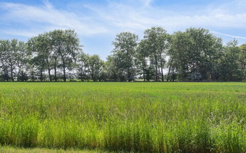 Konrad - 700M from the Sea: Dak, Huis, Huis, Verblijf, Siding, Landgoed, Oprit, Garden Gebouwen, Werf, Schuur