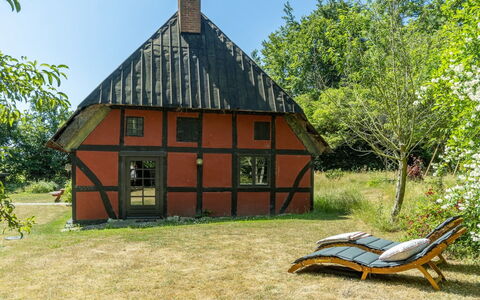 Elvin - 2.7Km from the Sea: Dak, Huis, Deur, Verblijf, Schaduw, Siding, Werf, Landgoed, Backyard