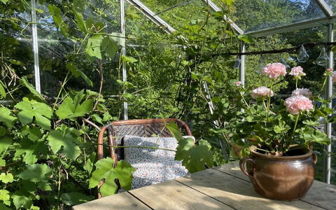 Elvin - 2.7Km from the Sea: Dak, Huis, Deur, Verblijf, Schaduw, Siding, Werf, Landgoed, Backyard