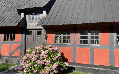 Elvin - 2.7Km from the Sea