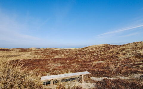 Hilmer - 250M from the Sea: Blauw, Natuurlijke Omgeving, Ecoregio, Horizon, Grasland, Landschap, Plain, Bruin, Plantengemeenschap, Steppe