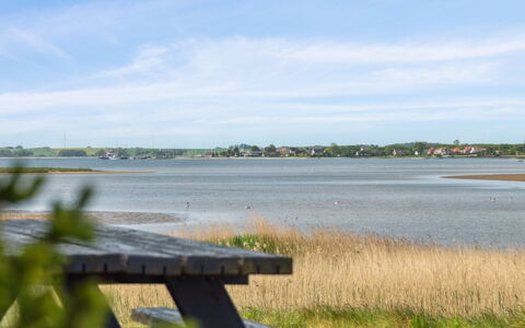 Swaantje - 150M to the Fjord: Dak, Huis, Land Lot, Huis, Verblijf, Landgoed, Garden Gebouwen, Schaduw, Blokhut, Landscaping