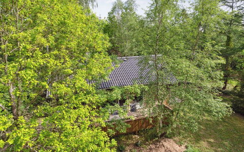 Herta: Boom, Blad, Natuurlijke Omgeving, Afdeling, Hout, Vegetation, Struik, Plantengemeenschap, Takje, De Lente