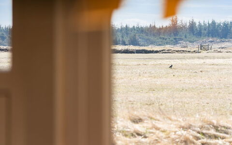 Tianna - 500M from the Sea: Dak, Huis, Deur, Verblijf, Schaduw, Siding, Werf, Landgoed, Backyard