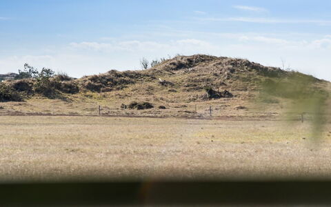 Tianna - 500M from the Sea: Dak, Huis, Deur, Verblijf, Schaduw, Siding, Werf, Landgoed, Backyard