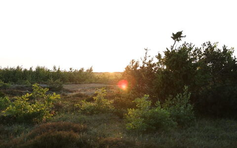 Blakke - 200M from the Sea: Zwembad, Buitenmeubels, Meubilair, Toevlucht, Flagstone, Eco Hotel, Schaduw, Stoel, Vrije Tijd, Landgoed