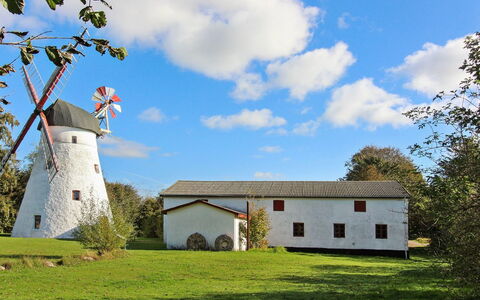 Kolle - 3.2Km from the Sea: Gras, Grasland, Land Lot, Plain, Landelijk Gebied, Weide, Gazon, Tuin