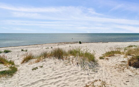 Anly - 250M from the Sea: Dak, Huis, Deur, Verblijf, Schaduw, Siding, Werf, Landgoed, Backyard