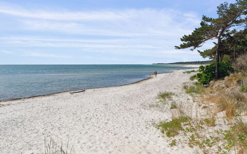 Anly - 250M from the Sea: Dak, Huis, Deur, Verblijf, Schaduw, Siding, Werf, Landgoed, Backyard