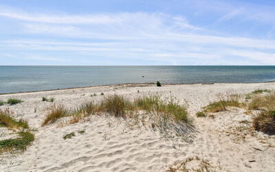 Anly - 250M from the Sea