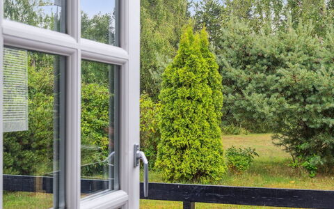 Brunhilde - 850M from the Sea: Vegetation, Struik, De Lente, Verblijf, Tuin, Schaduw, Backyard, Werf, Stoel