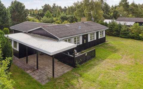 Brunhilde - 850M from the Sea: Vegetation, Struik, De Lente, Verblijf, Tuin, Schaduw, Backyard, Werf, Stoel
