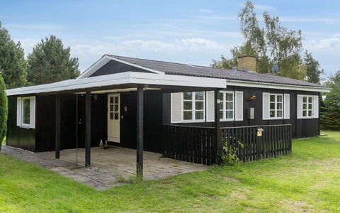Brunhilde - 850M from the Sea: Vegetation, Struik, De Lente, Verblijf, Tuin, Schaduw, Backyard, Werf, Stoel