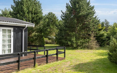 Brunhilde - 850M from the Sea: Vegetation, Struik, De Lente, Verblijf, Tuin, Schaduw, Backyard, Werf, Stoel