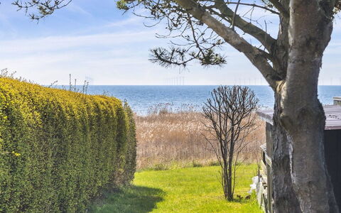 Gisella - 200M from the Sea: Gras, Grasland, Landschap, Ecoregio, Plain, Plantengemeenschap, Land Lot, Buitenmeubels, Prairie, Shrubland