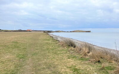 Ottmar - 150M from the Sea