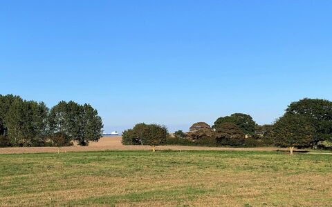 Dana - 525M from the Sea: Lucht, Blauw, Dag, Gras, Groen, Boom, Natuurlijke Omgeving, Grasland, Natuur, Natuurlijk Landschap