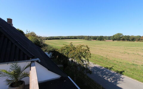 Dana - 525M from the Sea: Dak, Huis, Deur, Verblijf, Schaduw, Siding, Werf, Landgoed, Backyard