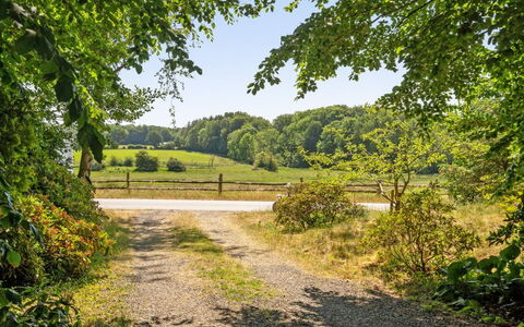 Kennet - 30M from the Sea: Groen, Boom, Blad, Gras, Natuur, Natuurlijk Landschap, Vegetation, Struik, Weg