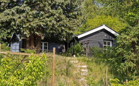 Teijo - 2.5Km from the Sea: Blad, Afdeling, Struik, Huis, Verblijf, Huis, Landelijk Gebied, De Lente, Tuin, Schaduw