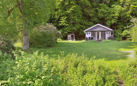 Ginne - 100M to the Fjord: Groen, Boom, Blad, Vegetation, Struik, Tuin, Plantengemeenschap, Verblijf, Groundcover, Landelijk Gebied
