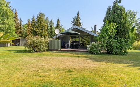 Winter - 500M from the Sea: Boom, Gras, Struik, Huis, Land Lot, Huis, Verblijf, Tuin, Gazon