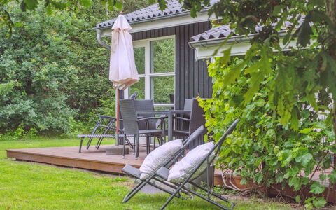 Alkmar - from the Sea: Hout, Buitenmeubels, Struik, Tuin, Meubilair, Land Lot, Schaduw, Groundcover, Hardwood