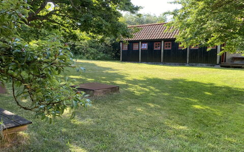 Henke - 100M from the Sea: Gras, Boom, Land Lot, Gazon, Tuin, Landelijk Gebied, Groundcover, Schaduw, Backyard