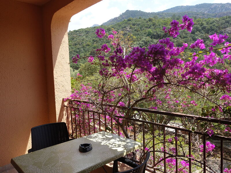Accommodatie:&nbsp;Residence Cabanaccia Studio 35M² 300.5