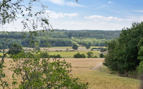 Hansen - 5.2Km from the Sea: Dak, Huis, Land Lot, Huis, Verblijf, Landgoed, Garden Gebouwen, Schaduw, Blokhut, Landscaping