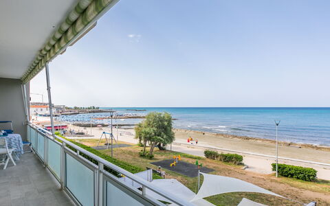 Massimo Beach House: Wolk, Lucht, Fabriek, Arecales, Schaduw, Boom, Kust En Oceanic Landvormen, Vrije Tijd, Plantendiversiteit, Boot