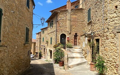 Domus Mariae