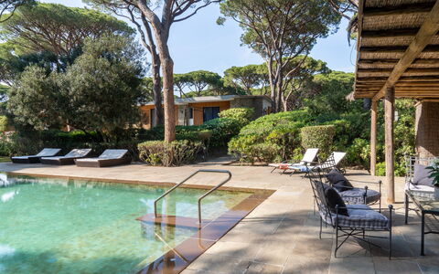 Villa La Pineta: Water, Fabriek, Zwembad, Lucht, Gebouw, Boom, Buitenmeubels, Schaduw, Stoel, Arecales