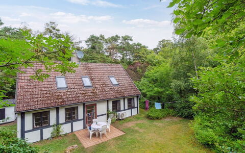 Rina - 250M from the Sea: Vegetation, Struik, De Lente, Verblijf, Tuin, Schaduw, Backyard, Werf, Stoel