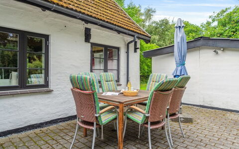 Rina - 250M from the Sea: Vegetation, Struik, De Lente, Verblijf, Tuin, Schaduw, Backyard, Werf, Stoel