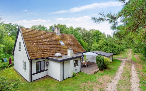 Rina - 250M from the Sea: Vegetation, Struik, De Lente, Verblijf, Tuin, Schaduw, Backyard, Werf, Stoel