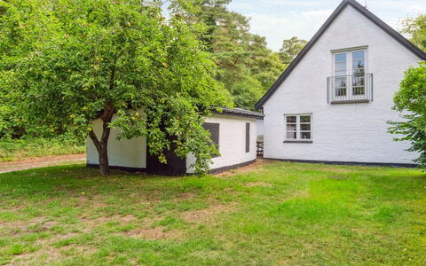 Rina - 250M from the Sea: Vegetation, Struik, De Lente, Verblijf, Tuin, Schaduw, Backyard, Werf, Stoel