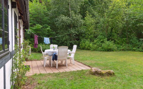 Rina - 250M from the Sea: Vegetation, Struik, De Lente, Verblijf, Tuin, Schaduw, Backyard, Werf, Stoel
