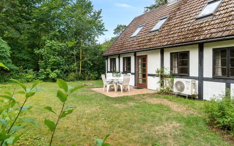 Rina - 250M from the Sea: Vegetation, Struik, De Lente, Verblijf, Tuin, Schaduw, Backyard, Werf, Stoel