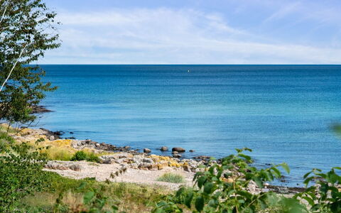 Helin - 100M from the Sea: Vegetation, Struik, De Lente, Verblijf, Tuin, Schaduw, Backyard, Werf, Stoel