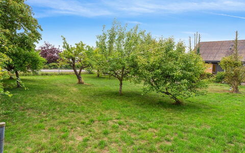 Atena - 250M from the Sea: Dak, Huis, Land Lot, Huis, Verblijf, Landgoed, Garden Gebouwen, Schaduw, Blokhut, Landscaping