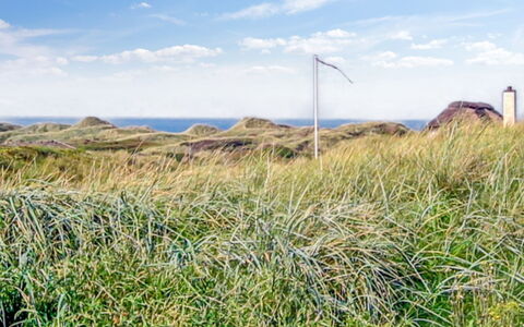 Hoat - 300M from the Sea: Lucht, Blauw, Gras, Groen, Vegetation, Grasland, Ecoregio, Plantengemeenschap, Land Lot, Shrubland