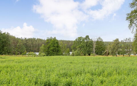 Skogstorpet: Venster, Gebouw, Azure, Hout, Verdieping, Comfort, Huis, Flooring, Hal