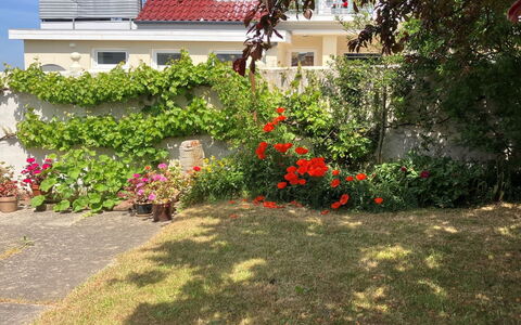 Merete - 50M from the Sea: Dak, Huis, Huis, Verblijf, Siding, Landgoed, Oprit, Garden Gebouwen, Werf, Schuur