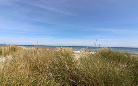 Alita - 300M from the Sea: Hout, Meubilair, Appartement, Kamer, Plafond, Beits, Stoel, Hardwood, Vernis, Timmerhout