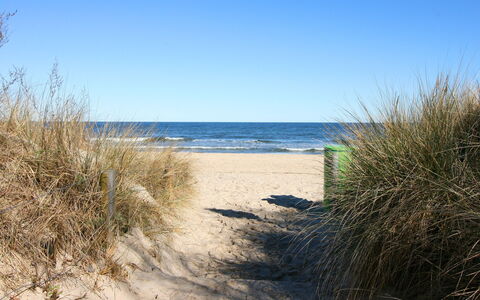 Morgensonne: Lucht, Water, Plantengemeenschap, Azure, Natuurlijk Landschap, Kust En Oceanic Landvormen, Fabriek, Gras, Landschap