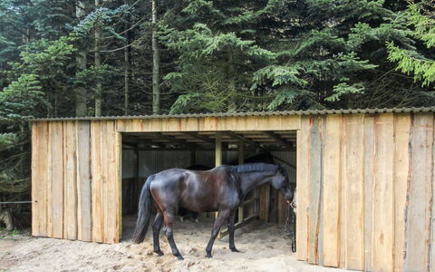 Thana - 8Km from the Sea: Huis, Huis, Deur, Dak, Verblijf, Landgoed, Tuin, Schaduw, Siding, Werf