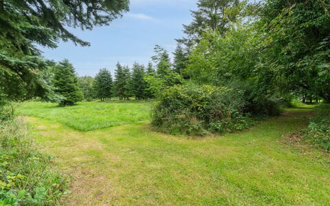 Thana - 8Km from the Sea: Huis, Huis, Deur, Dak, Verblijf, Landgoed, Tuin, Schaduw, Siding, Werf